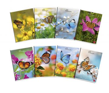 PIGNA - QUADERNO MAXI BUTTERFLIES 50FF/SH RIGHE 1rigo ASSORTITO