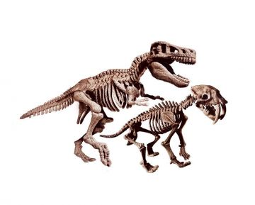 ARCHEOGIOCANDO - T-REX E SMILODON 2 IN 1