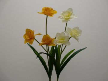 NARCISO SPRAYX3 50CM