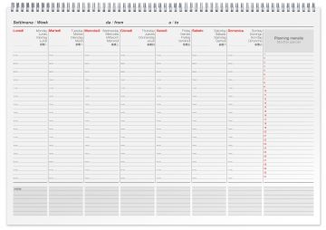 CANGINI FILIPPI - AGENDA SETTIMANALE WIRE-O 49X34 CM 53 FOGLI 